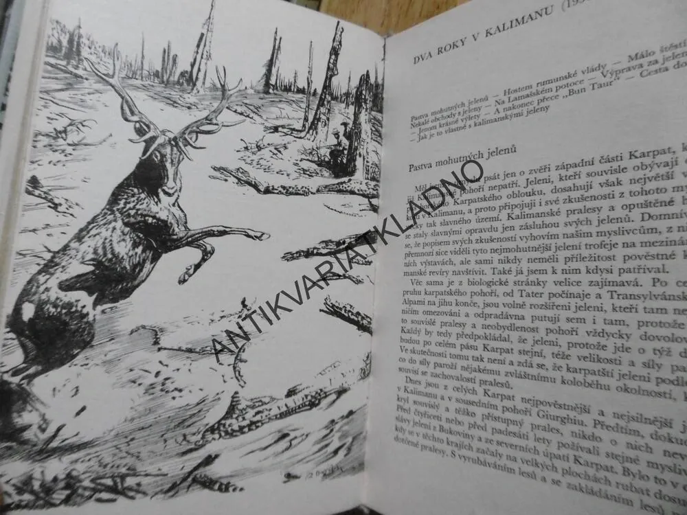 LOVY V KARPATECH, JULIUS KOMÁREK, ZDENĚK BURIAN, 1971