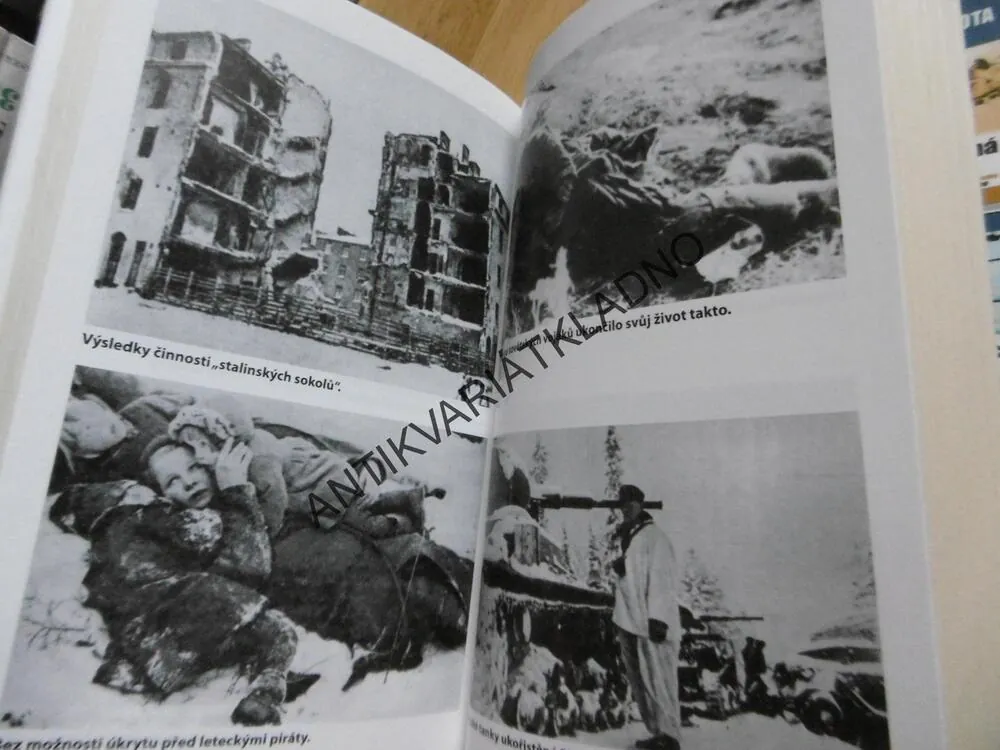 ZIMNÍ VÁLKA, SOVĚTSKÁ INVAZE DO FINSKÁ 1939-1940, CARL VAN DYKE, **an