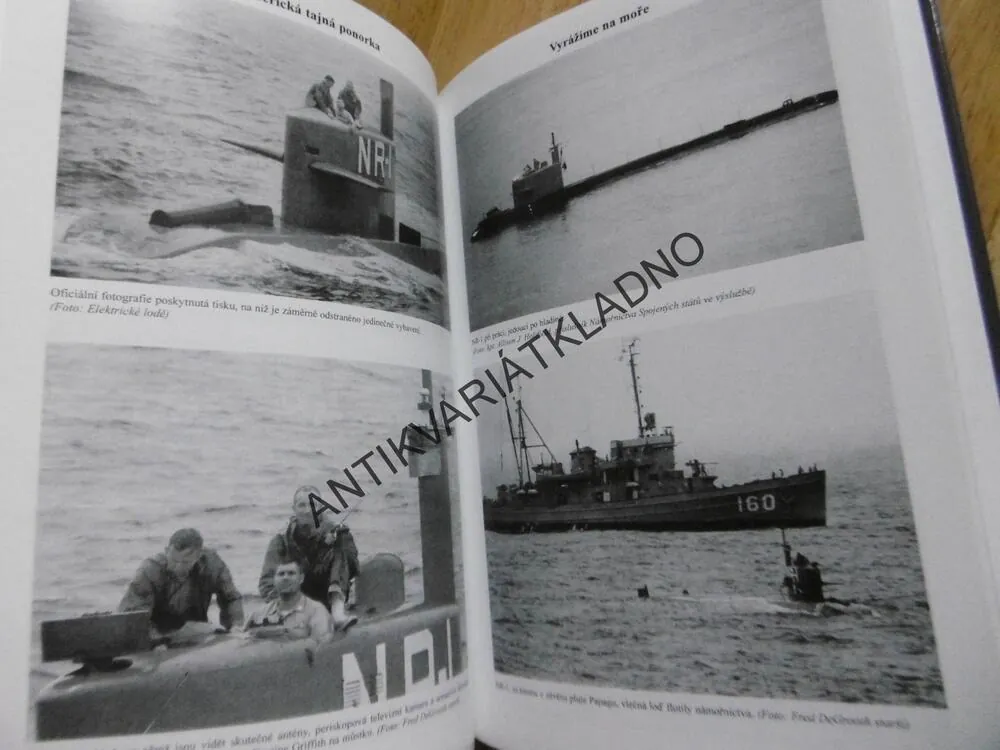 V TEMNÝCH VODÁCH, LEE VYBORNY, DON DAVIS, **an