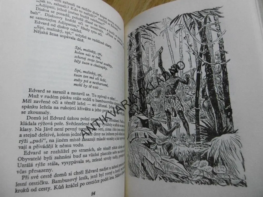 PLAMEN HNĚVU, E. VYGODSKÁ, 1952, **an