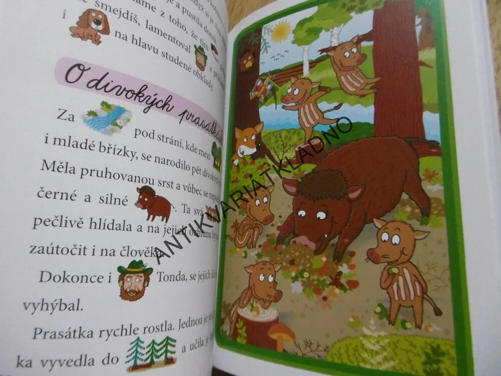 OBRÁZKOVÉ ČTENÍ, V LESE I NA LOUCE OD JARA DO ZIMY, ALENA SCHEJBALOVÁ, VENDULA HEGEROVÁ, **an