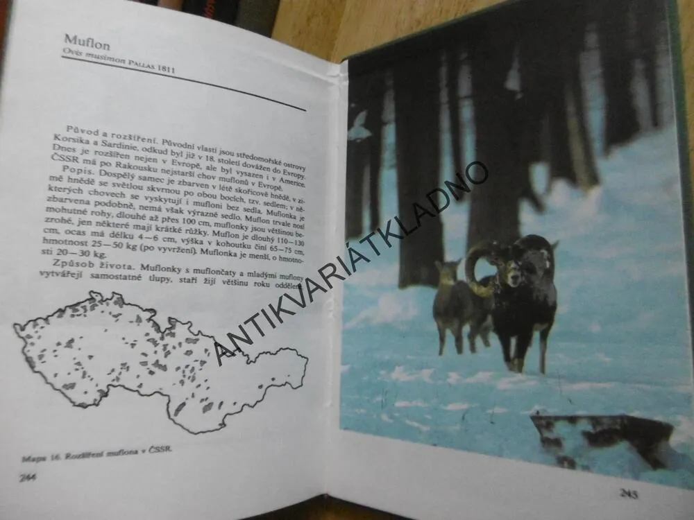 ATLAS ZVĚŘE, KAREL JIŘÍK, 1980, **an