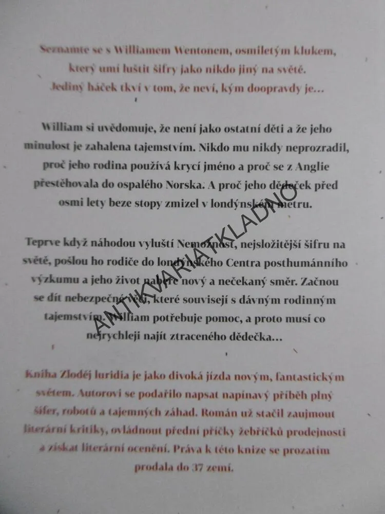ZLODĚJ LURIDIA, BOBBIE PEERS, **an