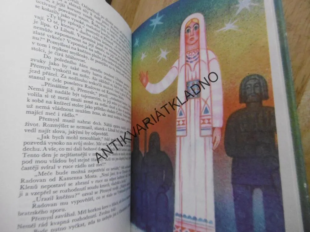 POHÁDKY ZA OPONOU, KAMIL BEDNÁŘ,BRÁZDOVÁ, **an