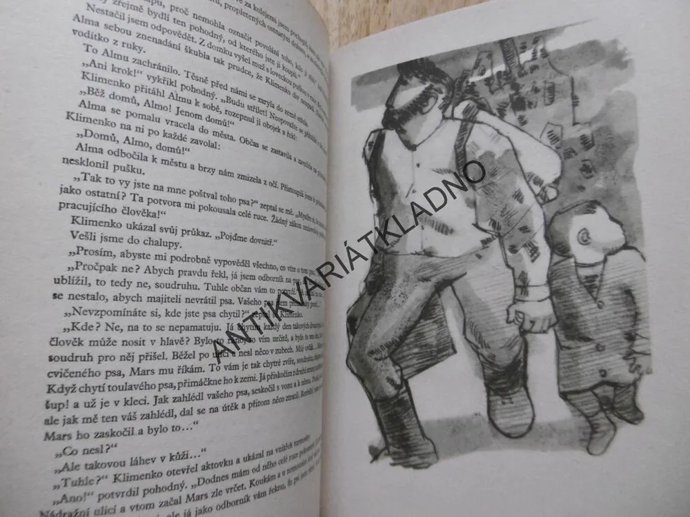 VELIKÉ MAGISTERIUM, ALEXANDR POLEŠČUK, 196, 2**an