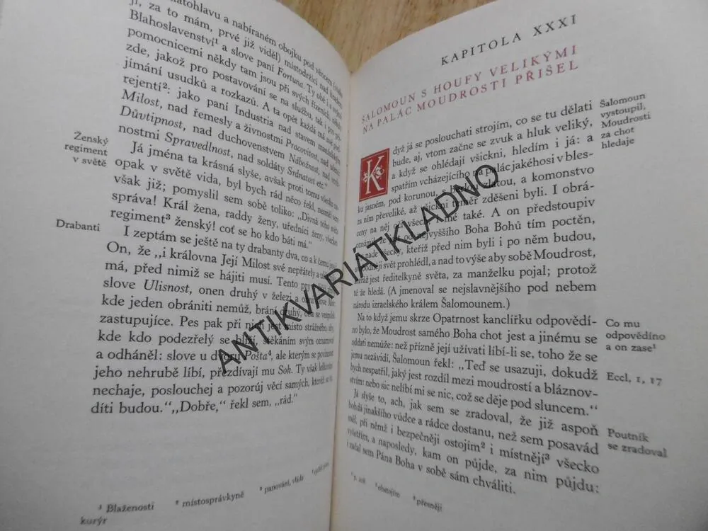 LABYRINT SVĚTA A RÁJ SRDCE, JAN ÁMOS KOMENSKÝ, **an