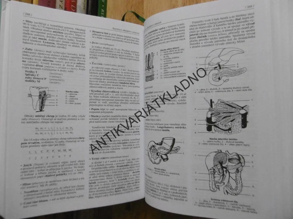 BIOLOGIE PRO GYMNÁZIA, JELÍNEK, ZICHÁČEK, NOVÉ VYDÁNÍ 2013