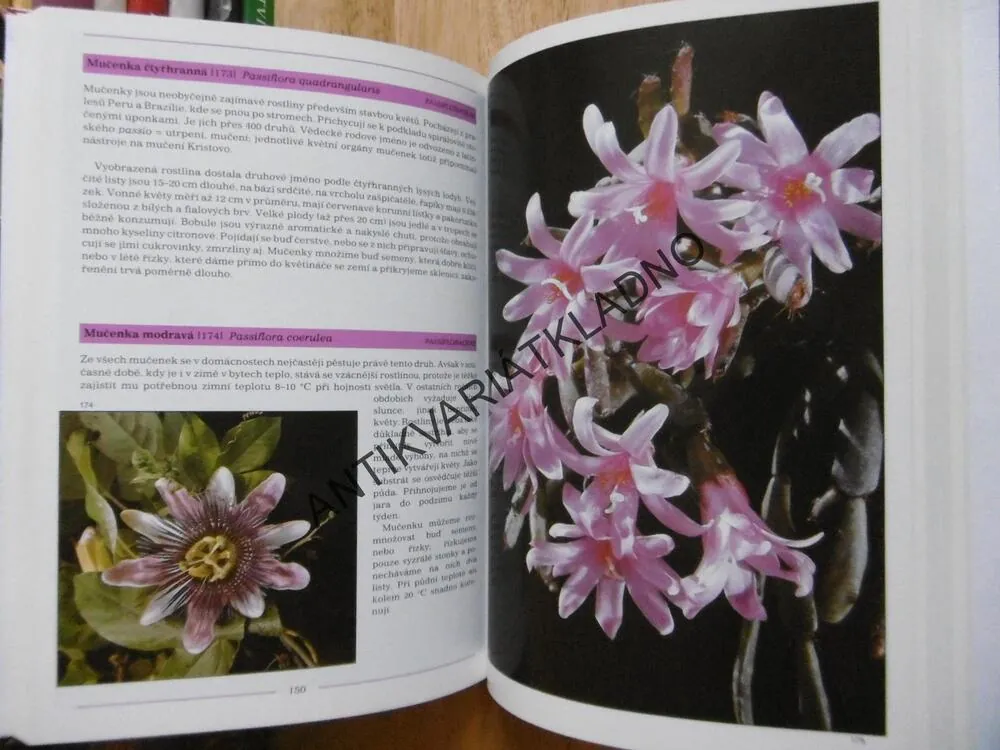 FOTOGRAFICKÝ ATLAS POKOJOVÉ ROSTLINY, ANNA SKALICKÁ, **an