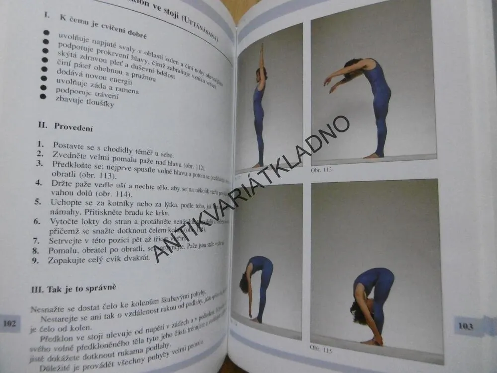 JÓGA PRO KAŽDÉHO, KAREEN ZEBROFFOVÁ, **an