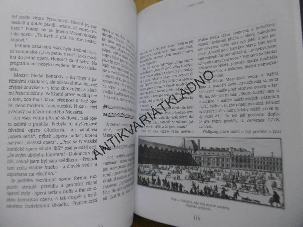 HLAVA PLNÁ HUDBY, ŽIVOT WOLFGANGA AMADEA MOZARTA, BRIGITTE HAMANNOVÁ, **an