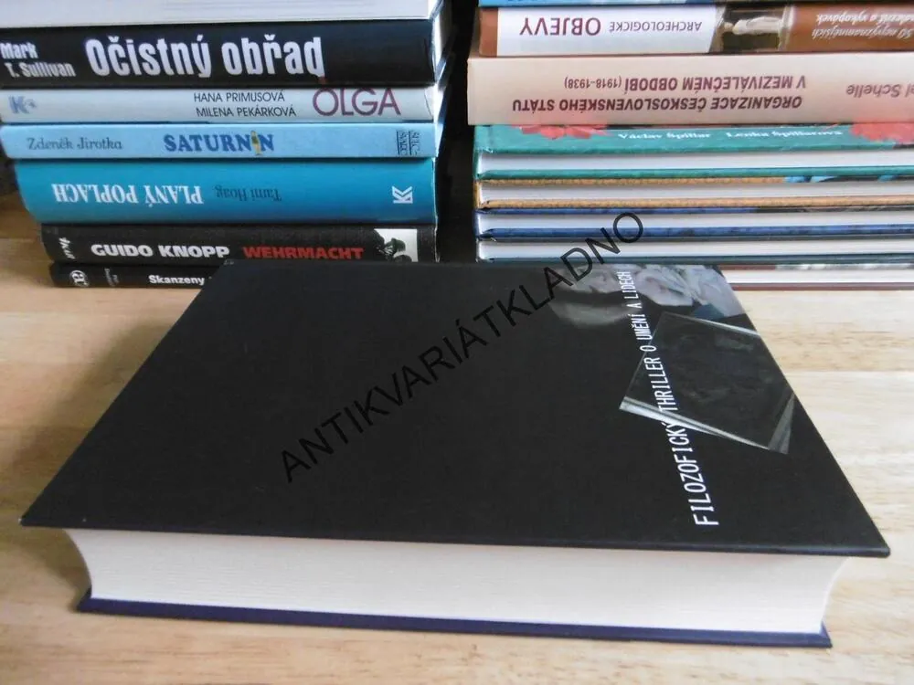 BEZ PRVNÍHO NENÍ OBRAZU DRUHÉHO, BANABÁŠ BARTL, 2015, **an