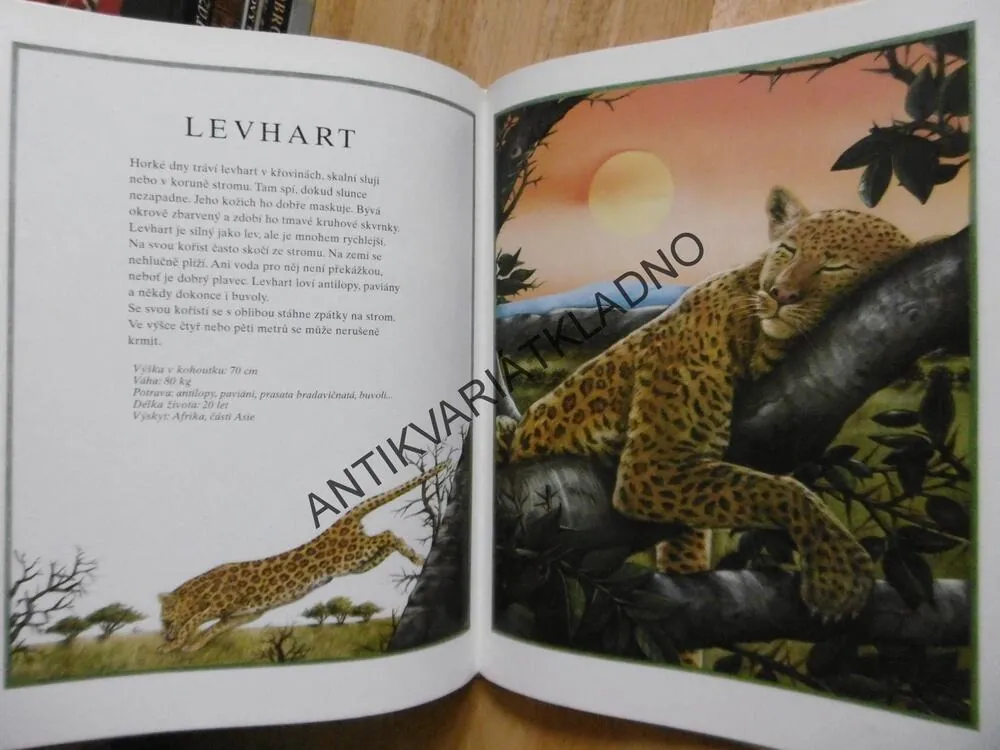 ROK SE ZVÍŘÁTKY, SUSANNE RIHA, **an