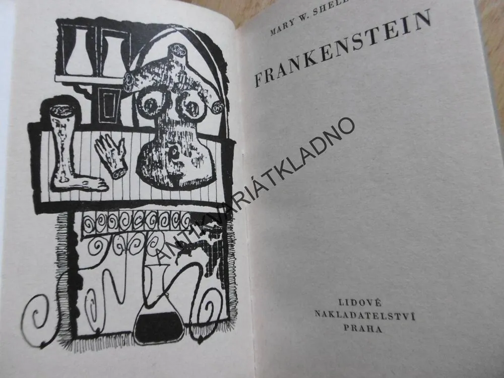 FRANKENSTEIN, MARY W. SHELLEYOVÁ, **an