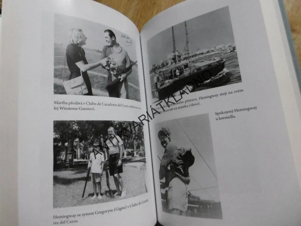 HEMINGWAYOVY HLÍDKY, ERNEST HEMINGWAY  A JEHO HON NA PONORKY, TERRY MORT, **an