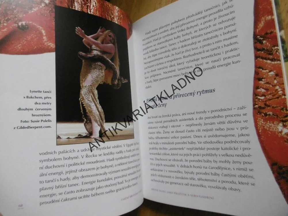 UMĚNÍ BŘIŠNÍHO TANCE, PINA COLUCCIA, ANETTE PAFFRATH, **an