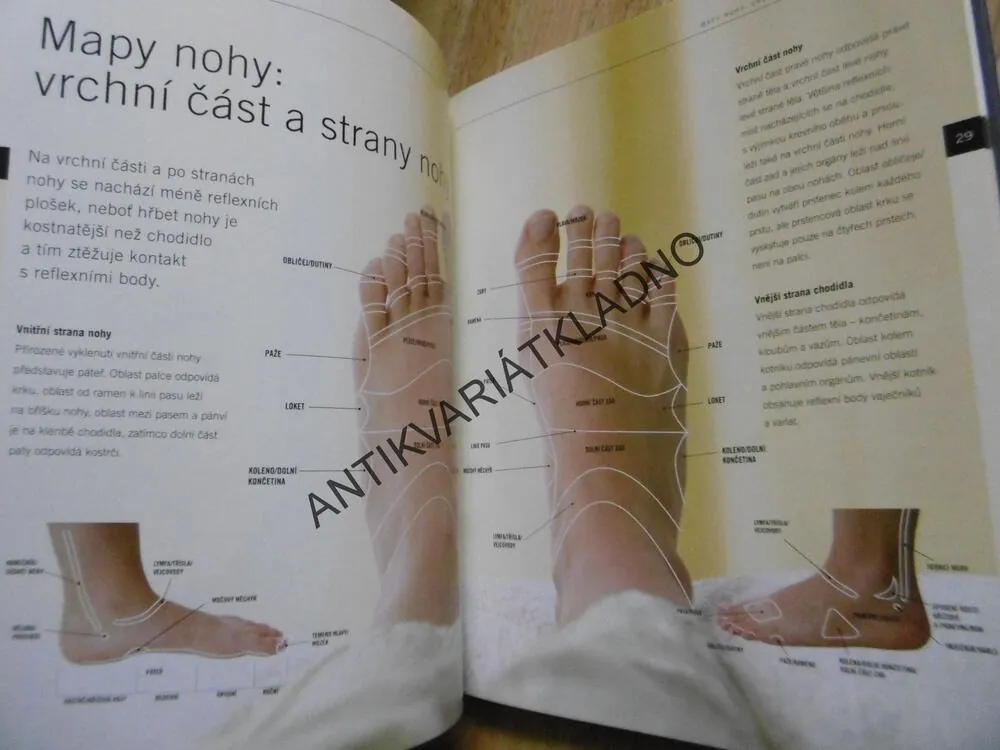 REFLEXNÍ TERAPIE, AKTIVNÍ PÉČE O VLASTNÍ ZDRAVÍ A ŽIVOTNÍ POHODU, **an