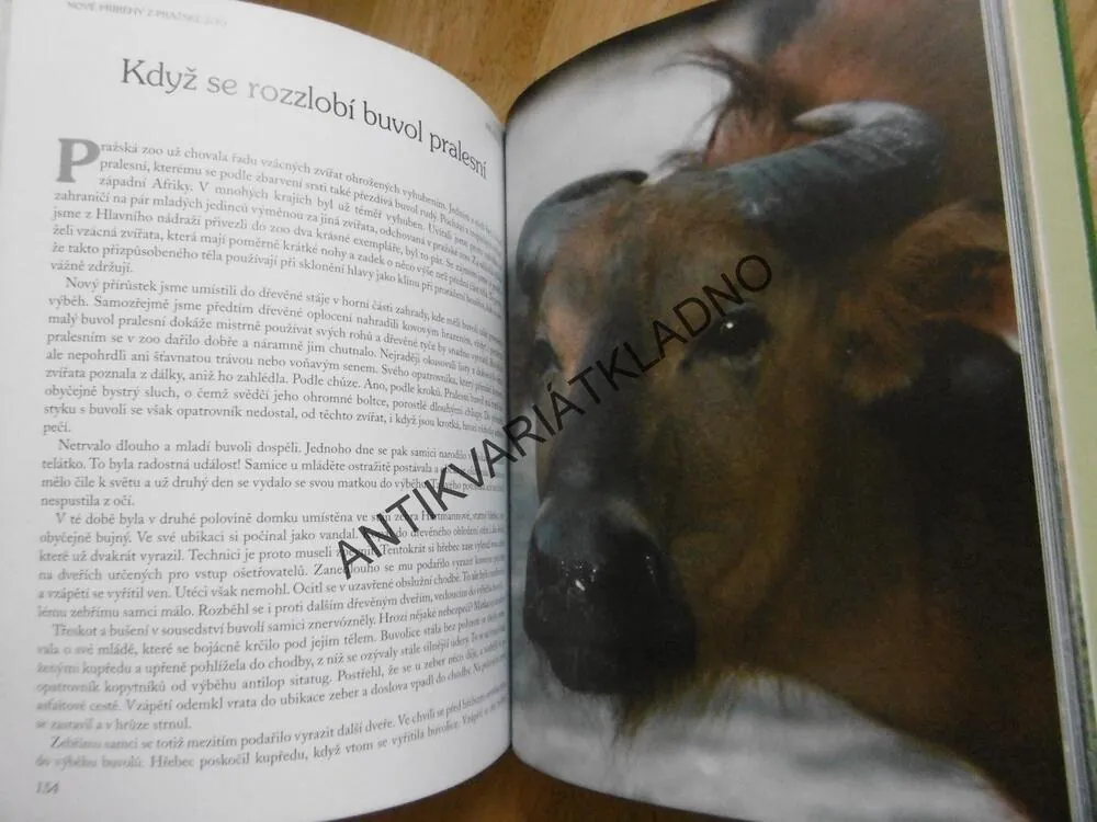 NOVÉ PŘÍBĚHY Z PRAŽSKÉ ZOO, ZOOLOGICKÁ ZAHRADA, PRAHA, JIŘÍ FELIX, **an