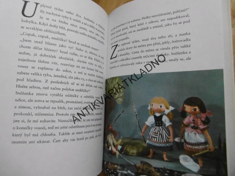 SNĚŽENKA A RŮŽENKA, BRATŘI GRIMMOVÉ,
