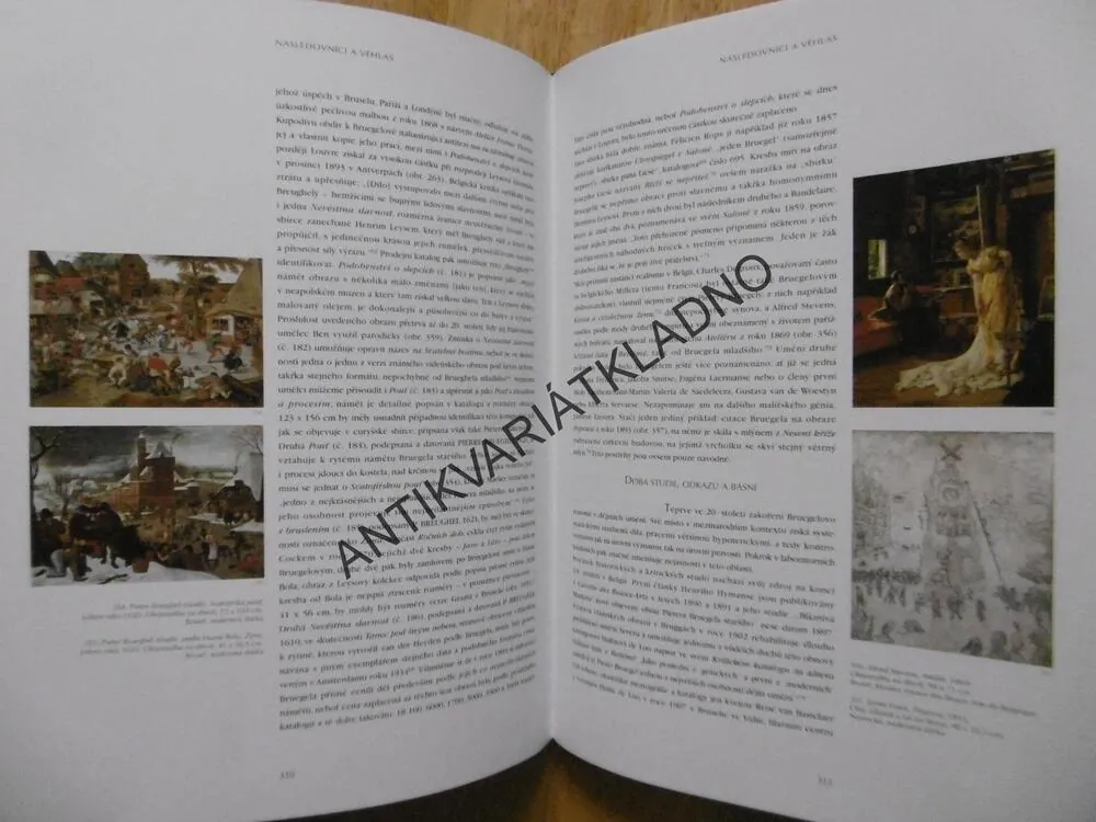 PIETER BRUEGEL STARŠÍ, PHILIPP A FRANCOISE ROBERTS-JONESOVÁ, **an