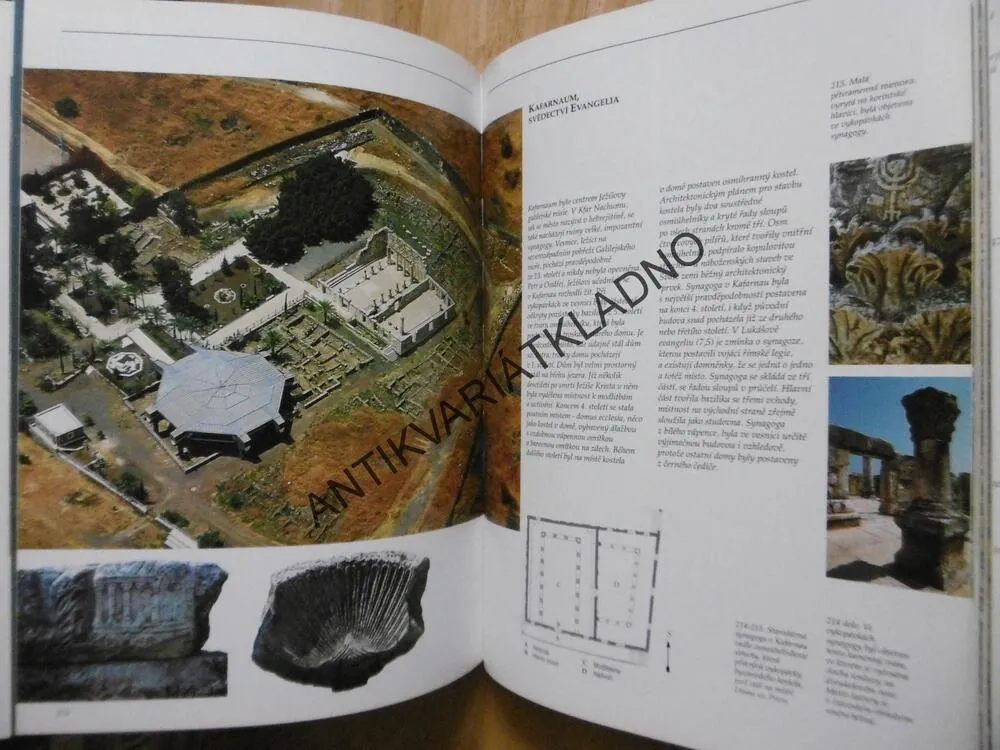 IZRAEL, SARA KOCHAV,  **an