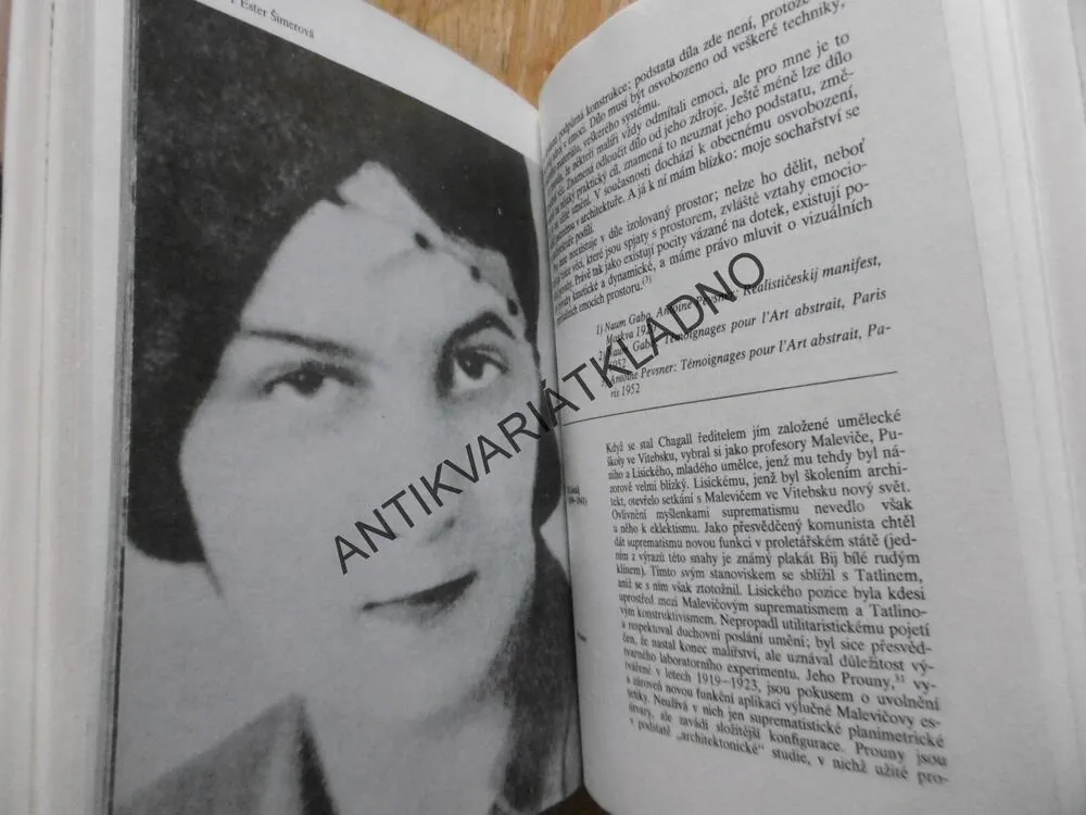 MYŠLENKY MODERNÍCH MALÍŘŮ, MIROSLAV LAMAČ, **an