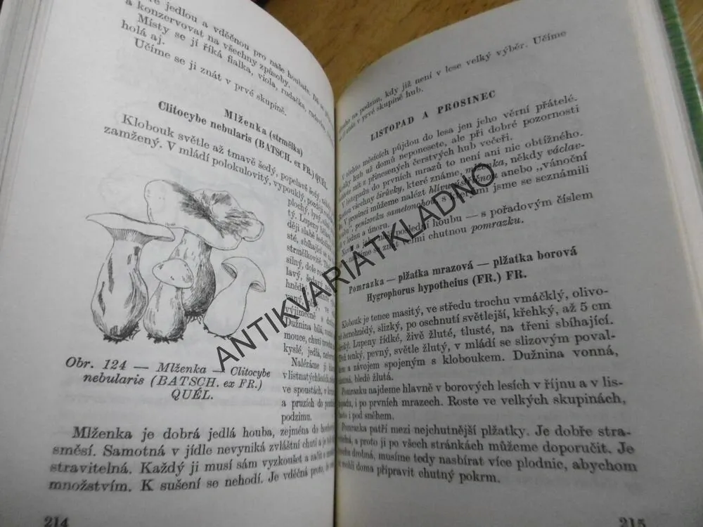 SBÍRÁME LESNÍ PLODY A HOUBY , SMOTLACHA, HRDLIČKA, MYKOLOGIE, **an