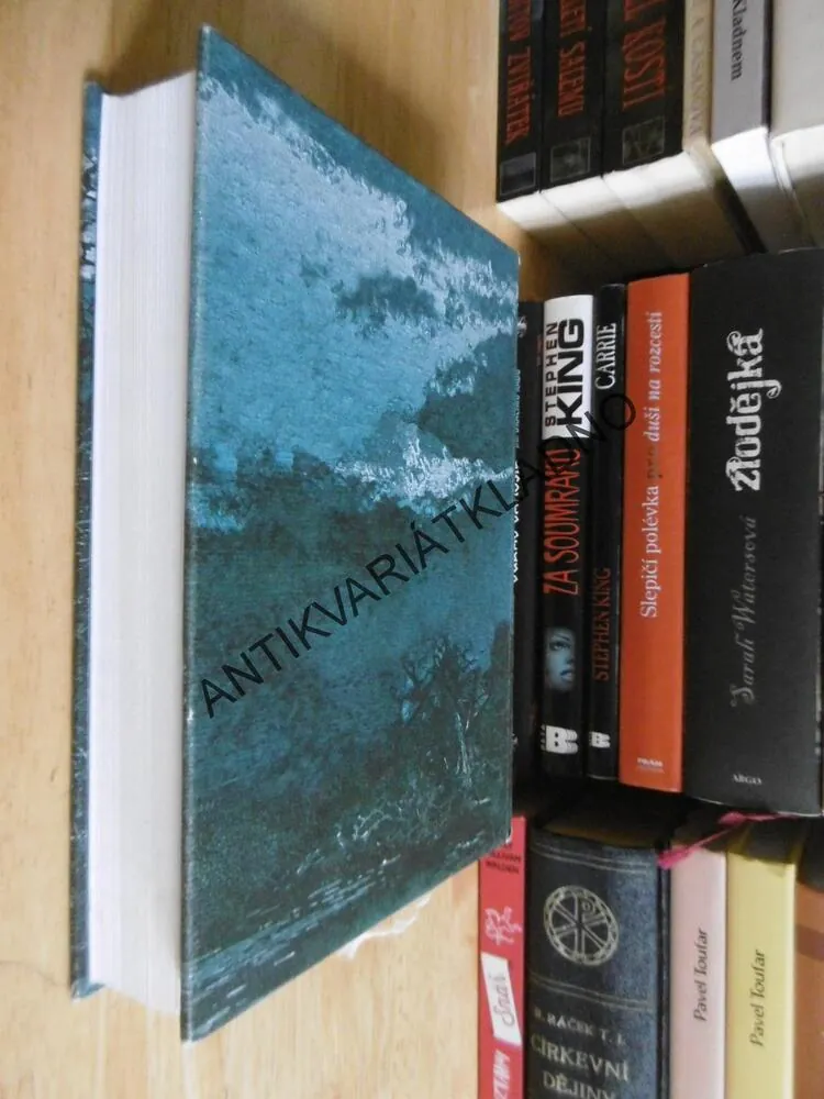 MALÝ VETŘELEC, SARAH WATERSOVÁ, **an