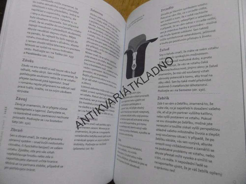 SNÁŘ, LÁSKA, SEX A VZTAHY, KELLY SULLIVAN WALDEN, 1000 SYMBOLŮ, **an