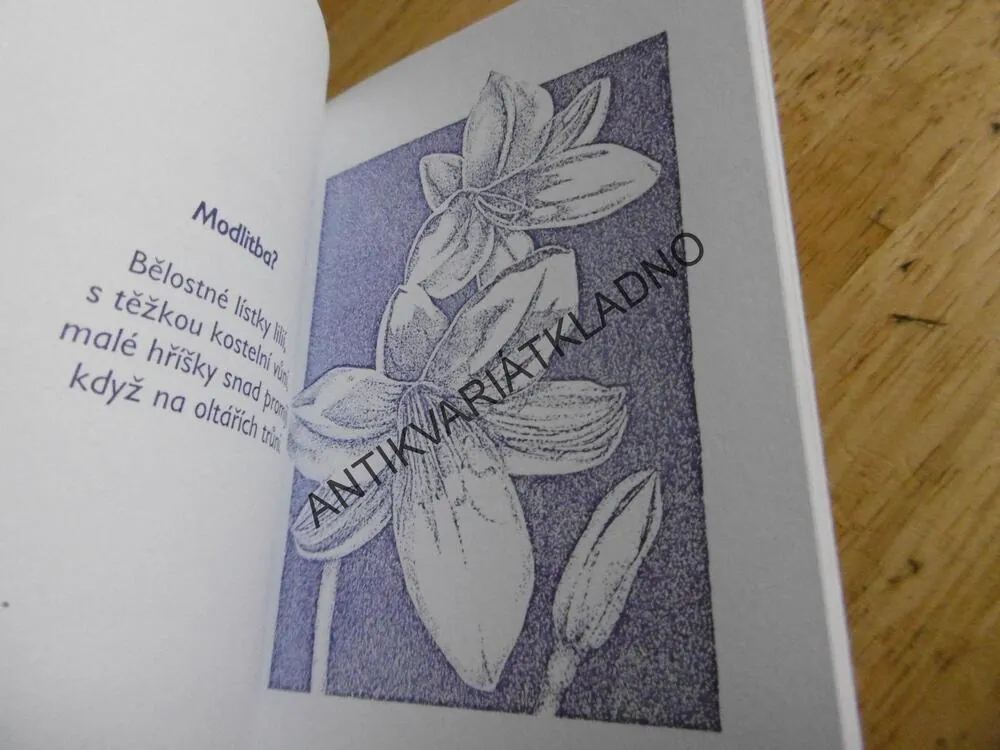 HŘÍŠNÉ MYŠLENKY, MAGDALENA POKORNÁ,