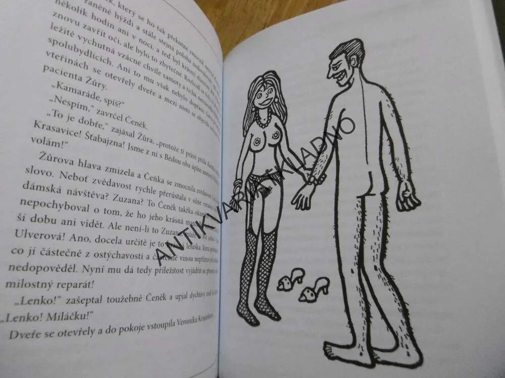 DOKTOR OD JEZERA HROCHŮ, MILOSLAV ŠVANDRLÍK, NEPRAKTA, **an