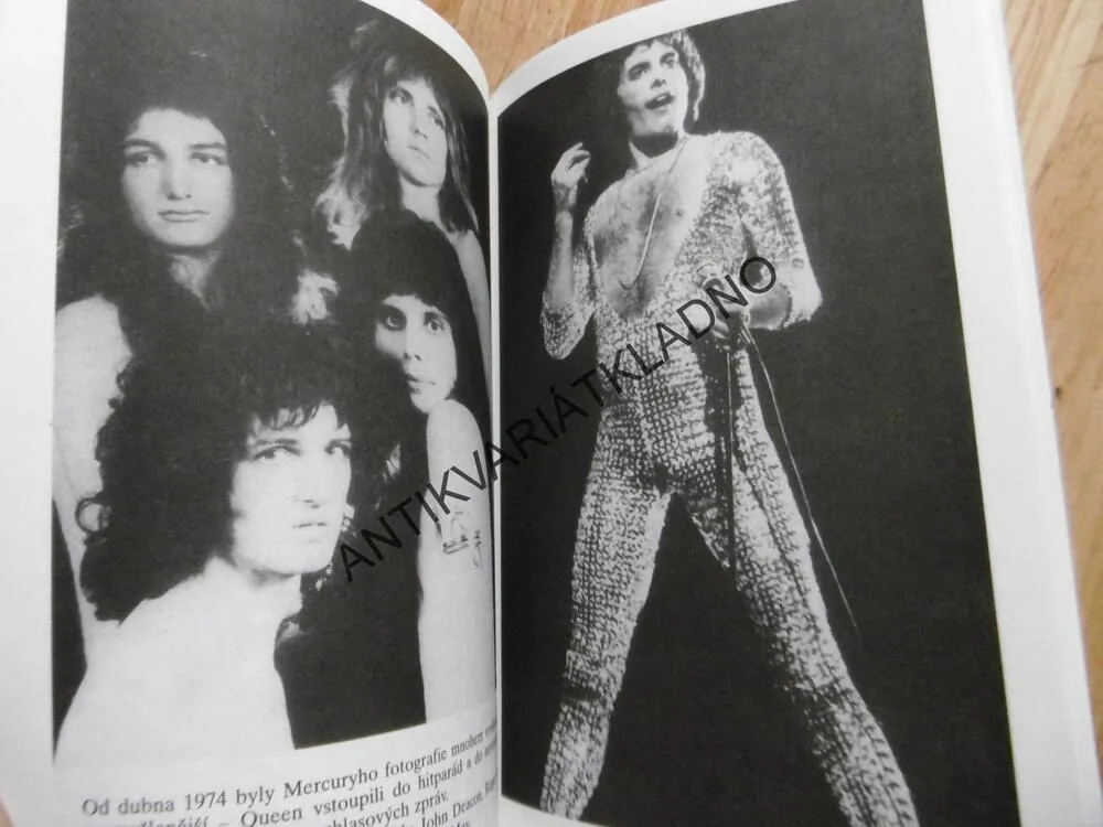 ŽIVOT FREDDIE MERCURYHO, QUEEN, FREDDIE MERCURY, HUDEBNÍ SKUPINA, **an