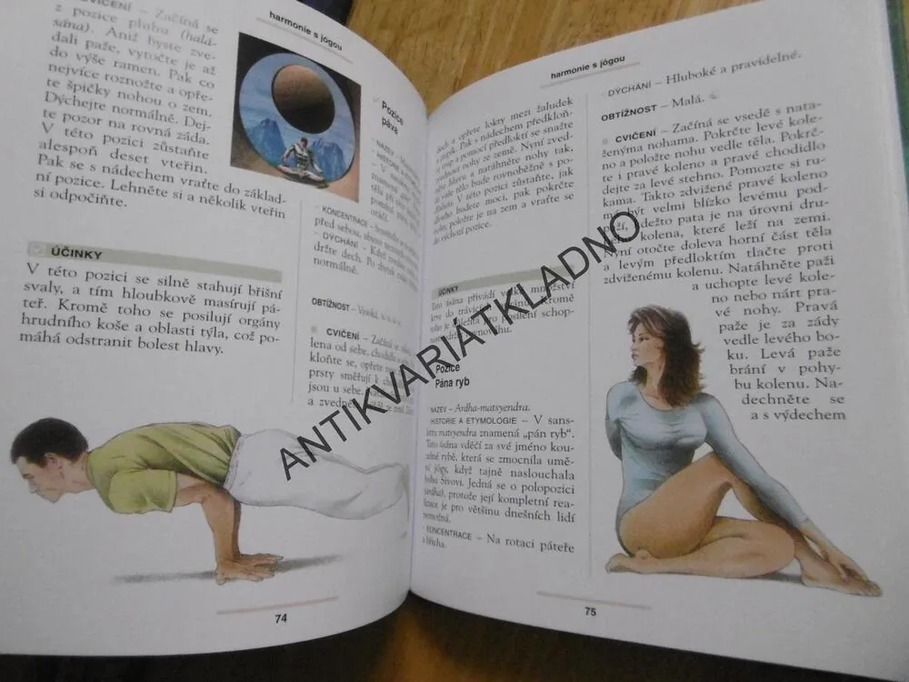 HARMONIE S JÓGOU, VANESSA BINI, JÓGA, **an