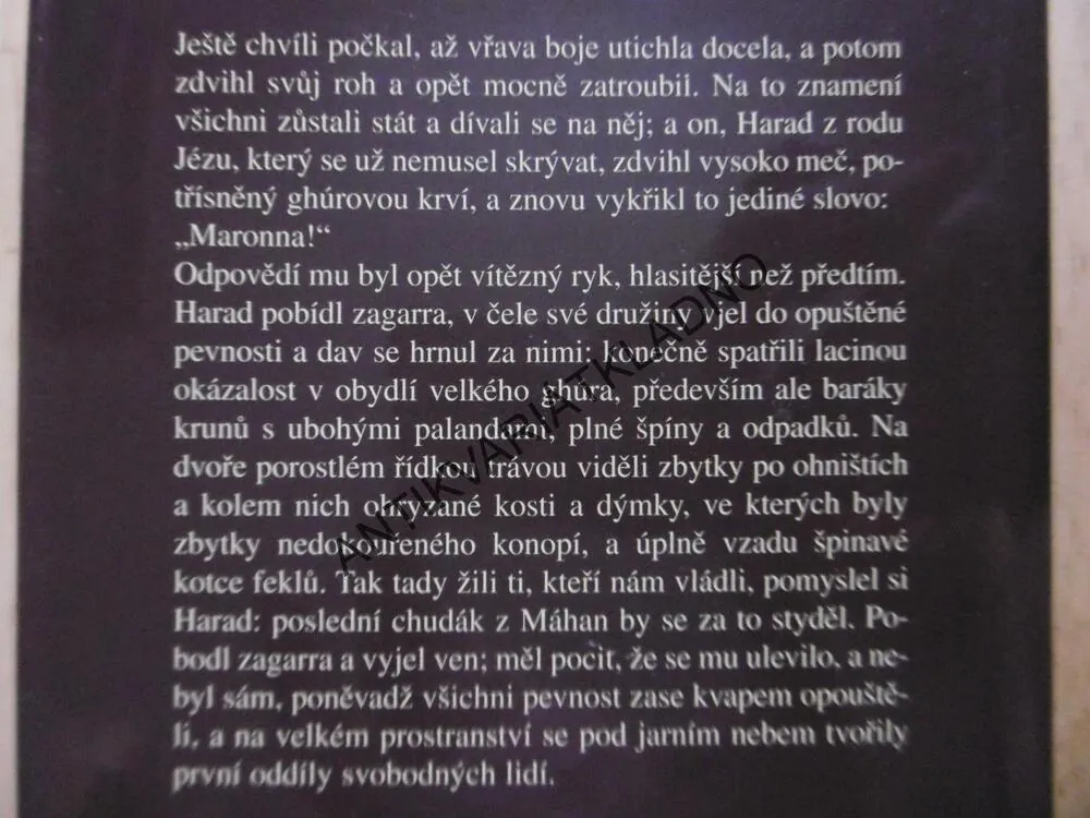 MARONNA, VLADIMÍR MEDEK, **an