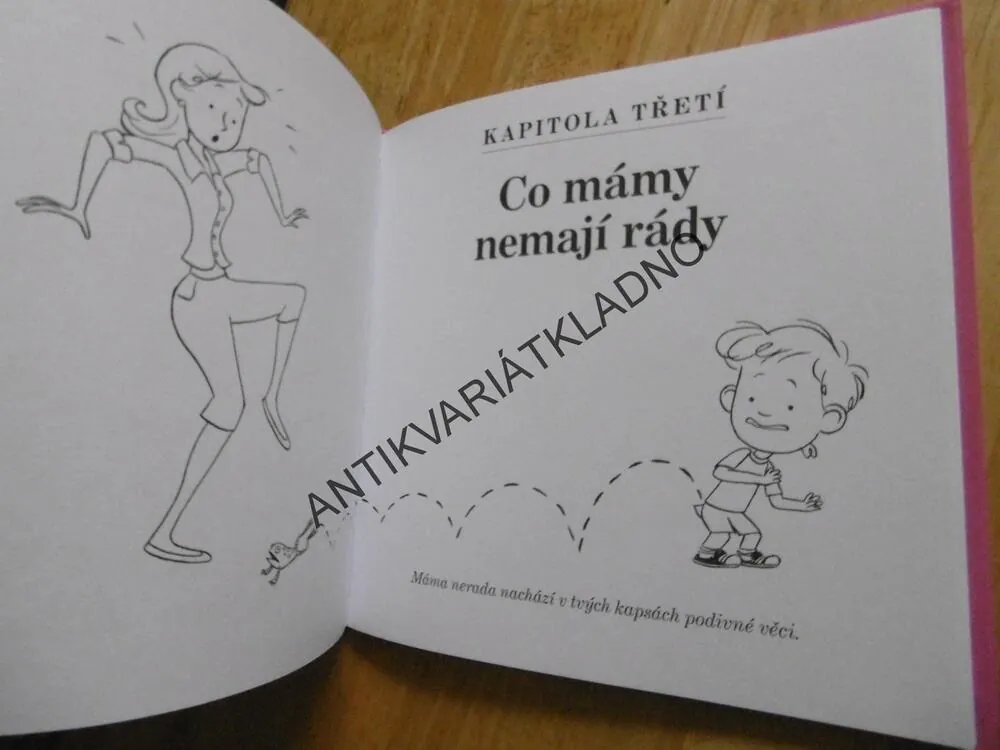 JAK NA MÁMU, ALEC GREVEN, **an