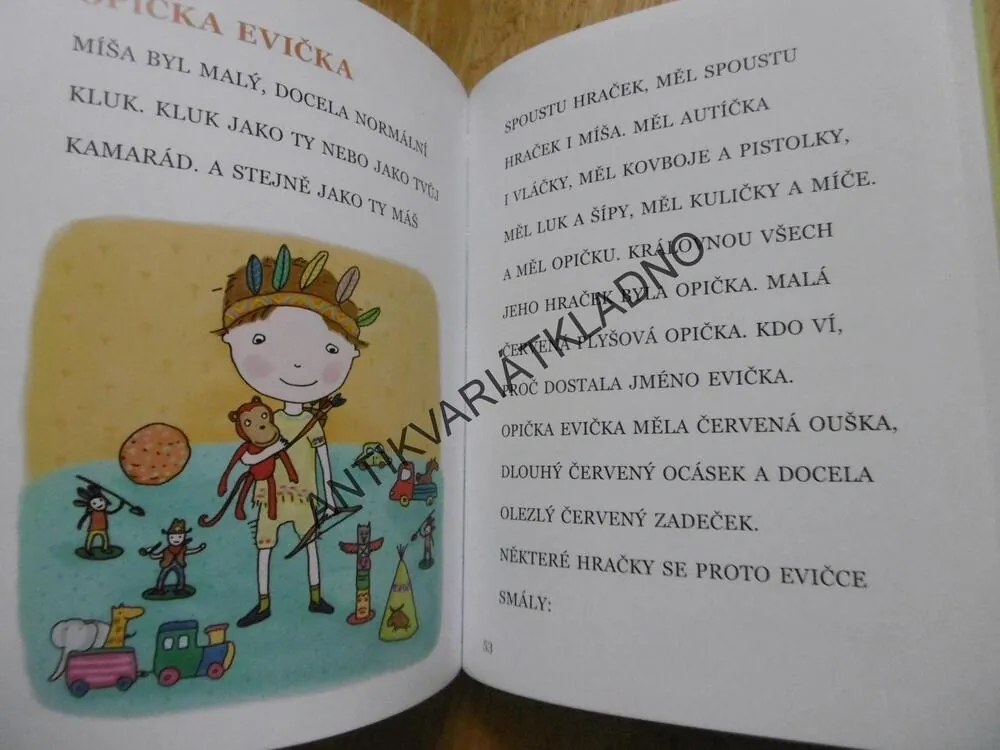 SVĚT HRAČEK A HER, EVA HORÁKOVÁ, MICHAELA BERGMANNOVÁ, **an