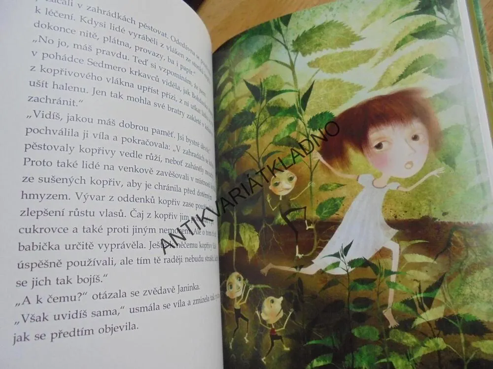 VÍLÍ BÝLÍ, TAJEMSTVÍ KOUZELNÉHO HERBÁŘE,SOCHA,CHUPÍKOVÁ