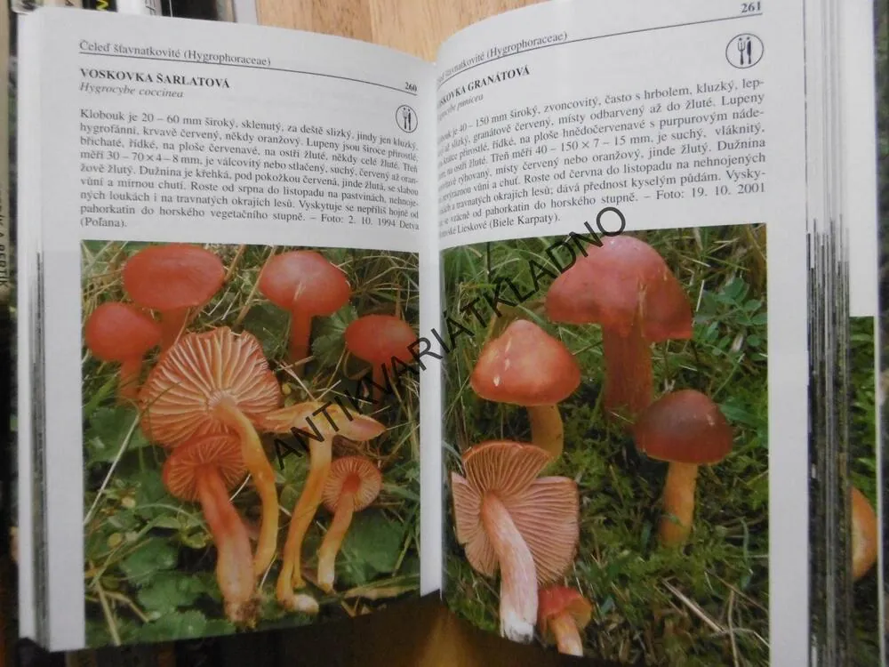 HOUBY ATLAS, LADISLAV HAGARA, MYKOLOGIE, **an