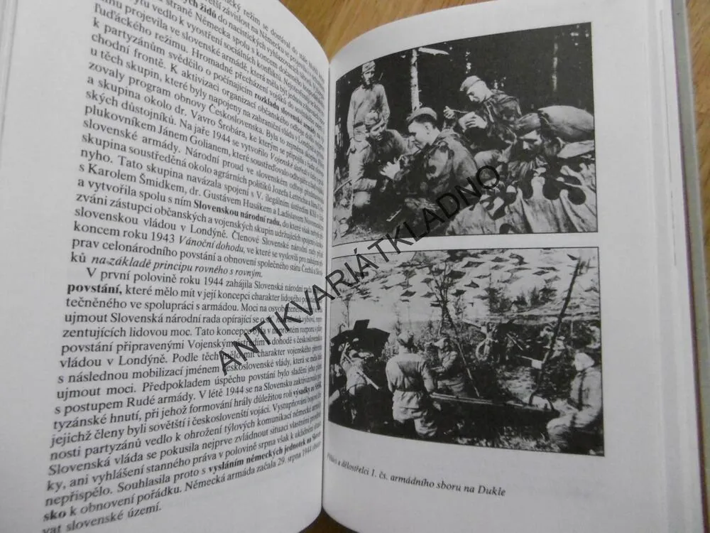 DĚJINY ZEMÍ KORUNY ČESKÉ 2.,1992, **an