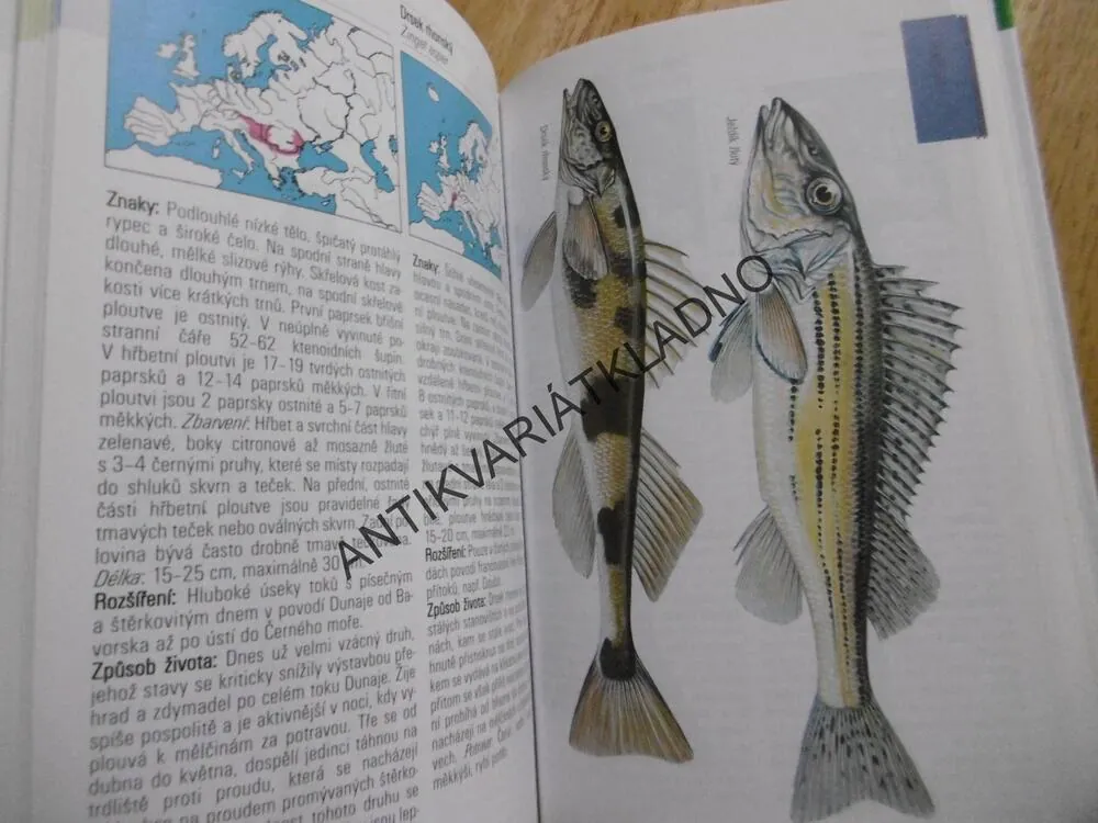 SLADKOVODNÍ RYBY, PRŮVODCE PŘÍRODOU, **an