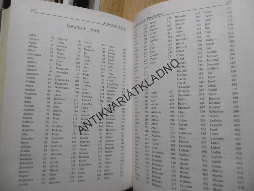 NUMEROLOGIE JMEN XXI.STOLETÍ, MALGORZATA BRZOZA, **an