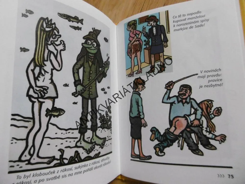 S NEPRAKTOU U VÝPRASKU, ŠVANDRLÍK, NEPRAKTA - AUTOGRAM, **an
