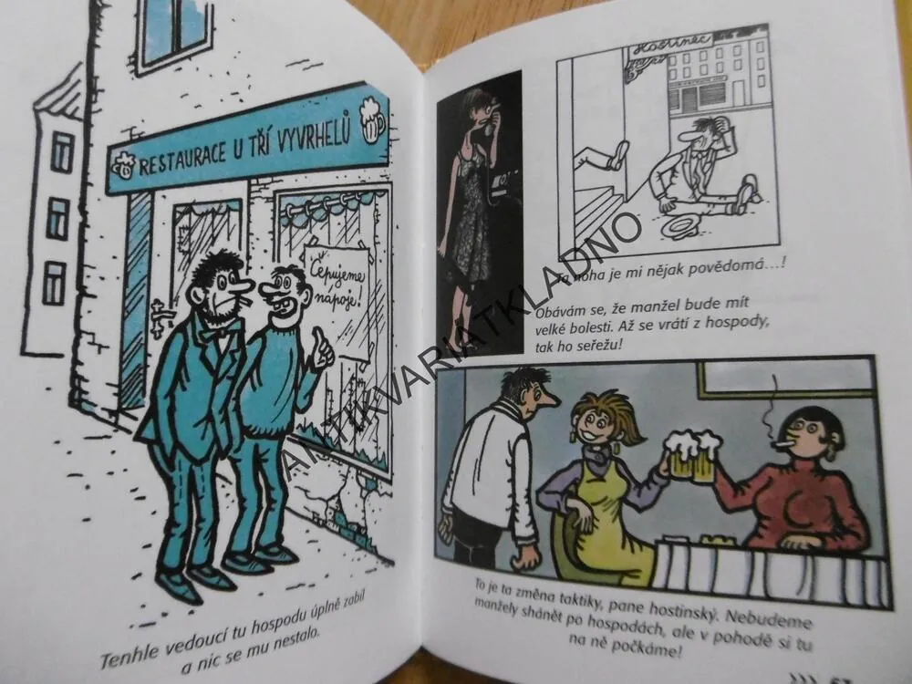 S NEPRAKTOU V HOSPŮDCE, ŠVANDRLÍK, NEPRAKTA, **an