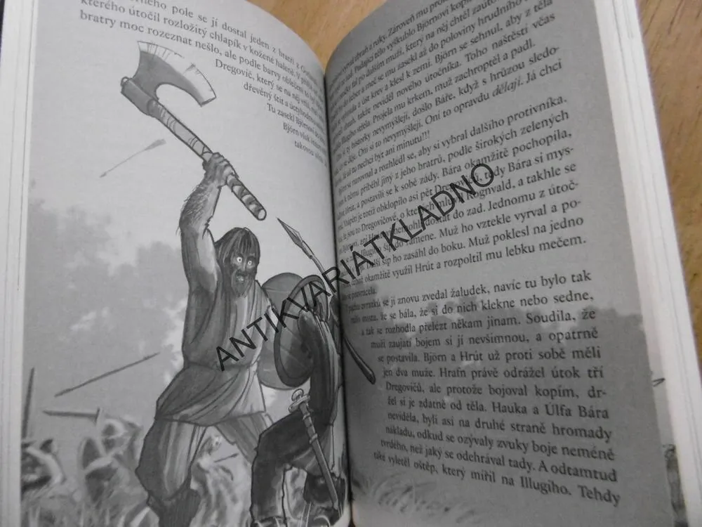 VIKINGOVÉ, ZÁHADA ROHATÝCH PŘILEB, VERONIKA VÁLKOVÁ, PETR KOPL, **an