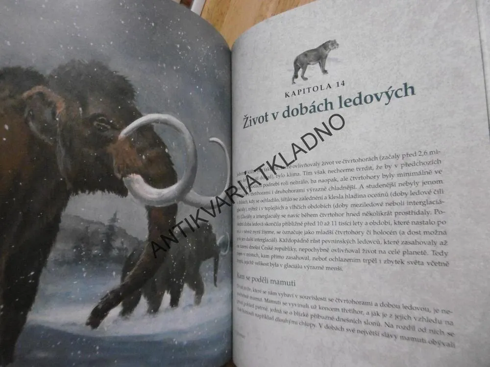 TAJEMSTVÍ EVOLUCE, PAVEL PECHÁČEK, MILOSLAV MUŠKÁT, **an