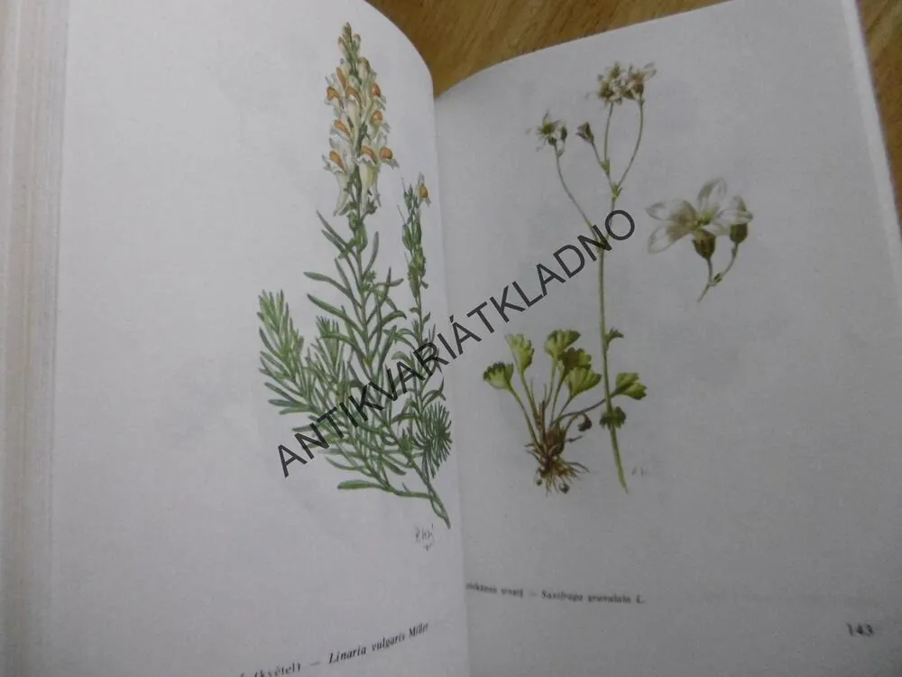 LÉČIVÉ ROSTLINY II., SBÍRÁME LÉČIVÉ ROSTLINY, **an