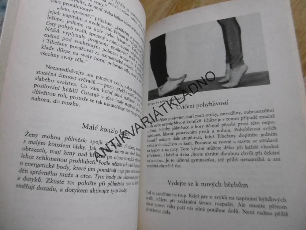 BUĎTE FIT S PĚTI TIBEŤANY, ARNOLD H. LANZ,