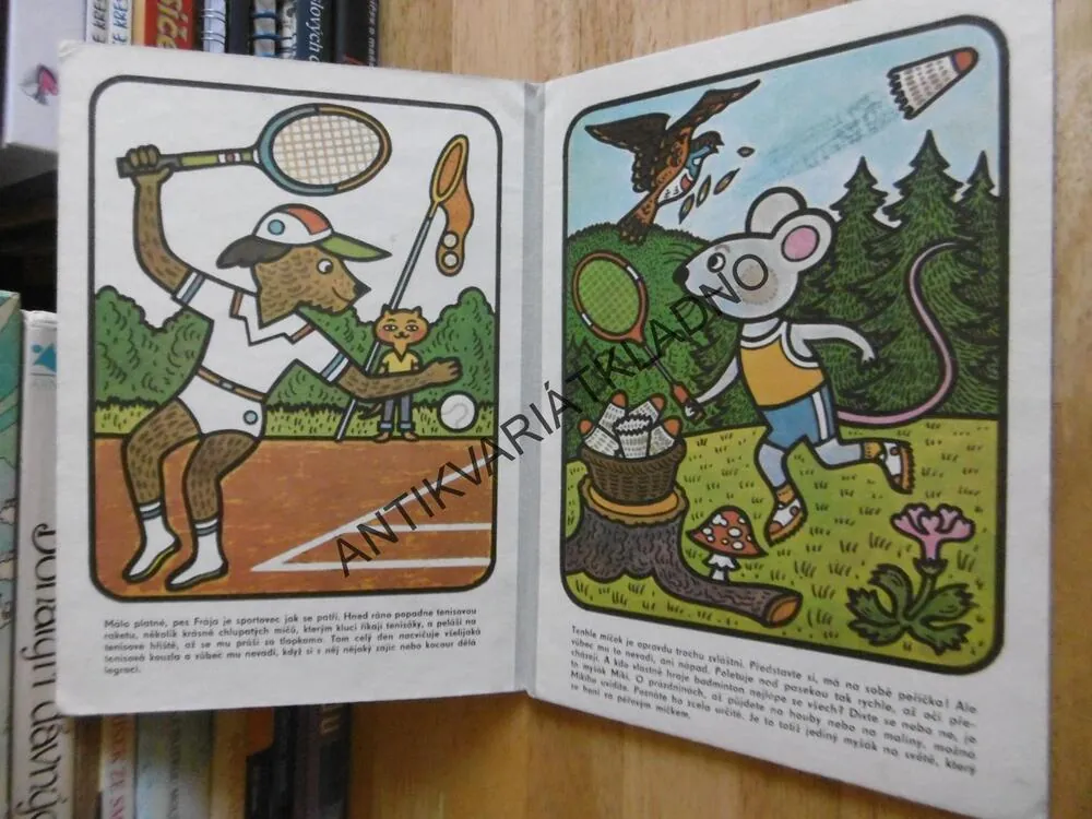 NENÍ MÍČ JAKO MÍČ, MATĚJKA, VILDT, **an