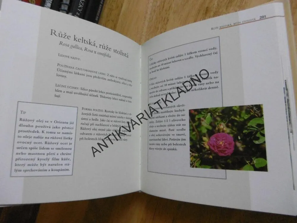 PŘÍRODNÍ MEDICÍNA, OBSAHOVÉ LÁTKY, LÉČEBNÉ ÚČINKY, UŽITÍ, **an