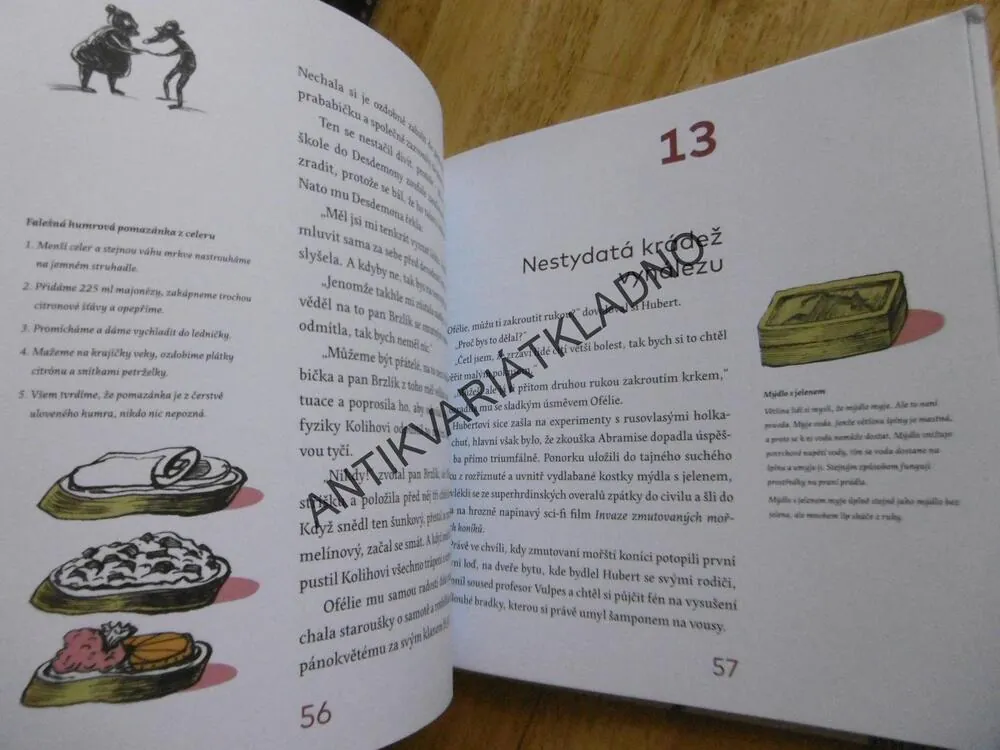 H2O A TAJNÁ VODNÍ MISE, PETR STANČÍK, GALINA MIKLÍNOVÁ, **an 