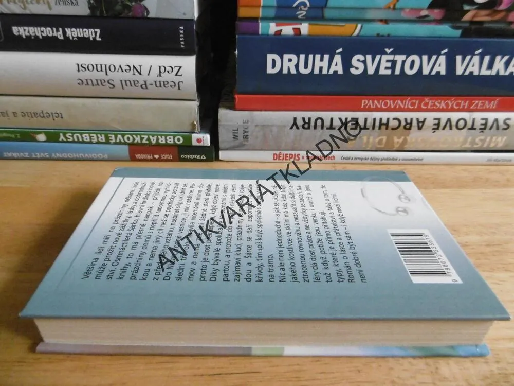 POTÍŽISTKA, LENKA LANCZOVÁ, **an